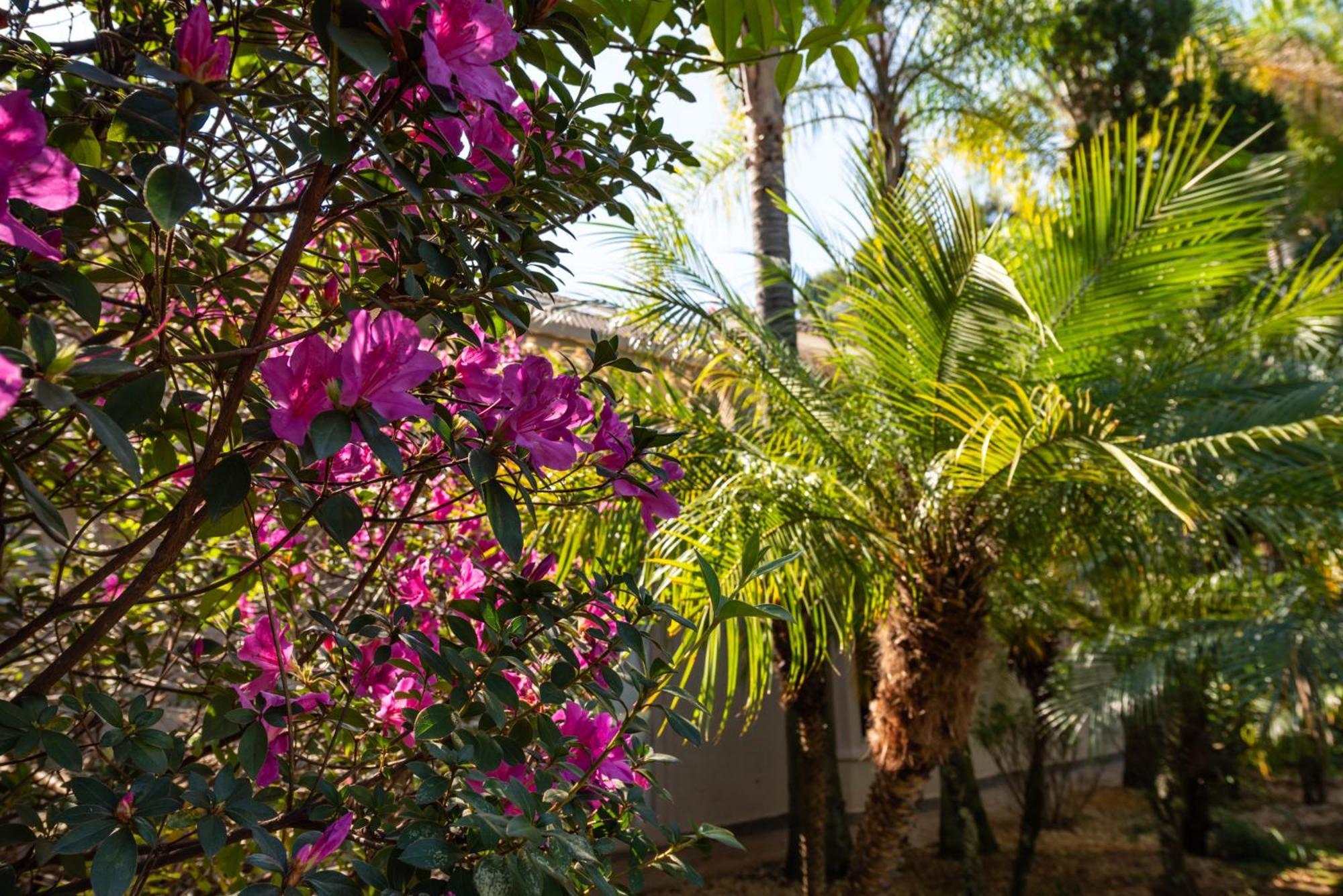 Fazenda Vila Real - Grande E Charmosa Casa De Campo Itu Extérieur photo